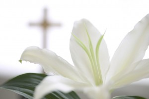 White Flower near Christian Cross