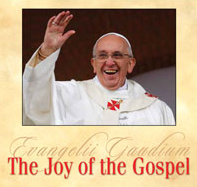 Joy of the Gospel_Cover